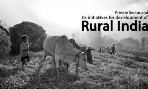 Private Sector and its initiatives for development of Rural India