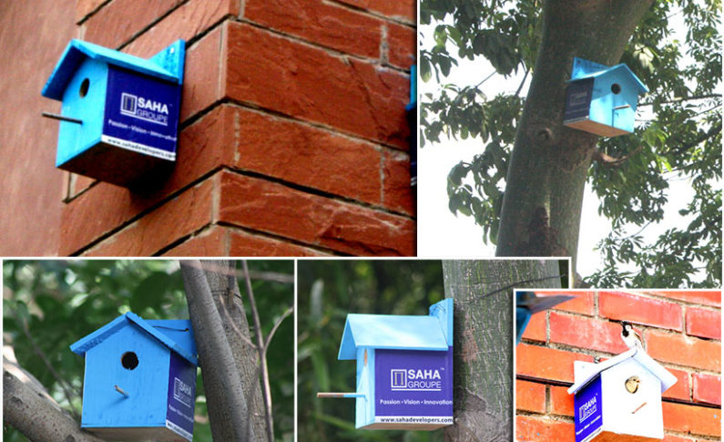 Birdhouse by SAHA Group because environment flourishes by being shared!