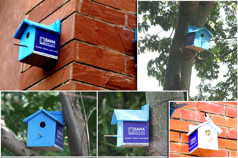Birdhouse by SAHA Group because environment flourishes by being shared!