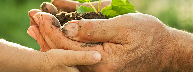 An Analysis of Corporate Social Responsibility Expenditure in India