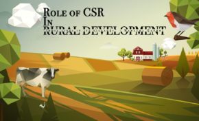 Role of CSR in Rural Development